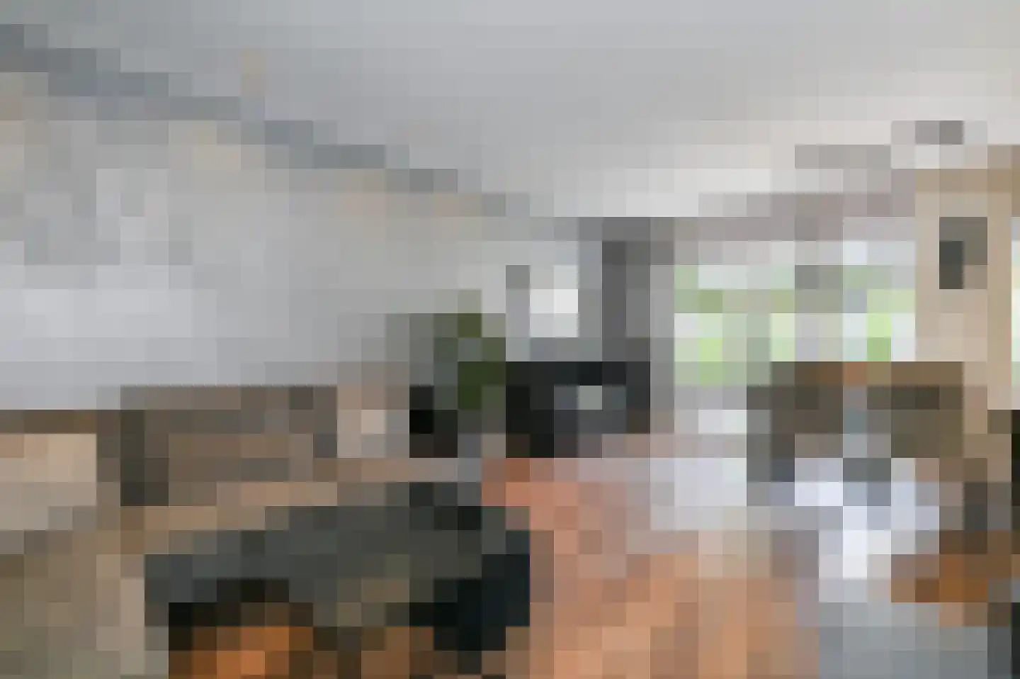 van Alphenstraat 22 Voorburg thumbnail 9