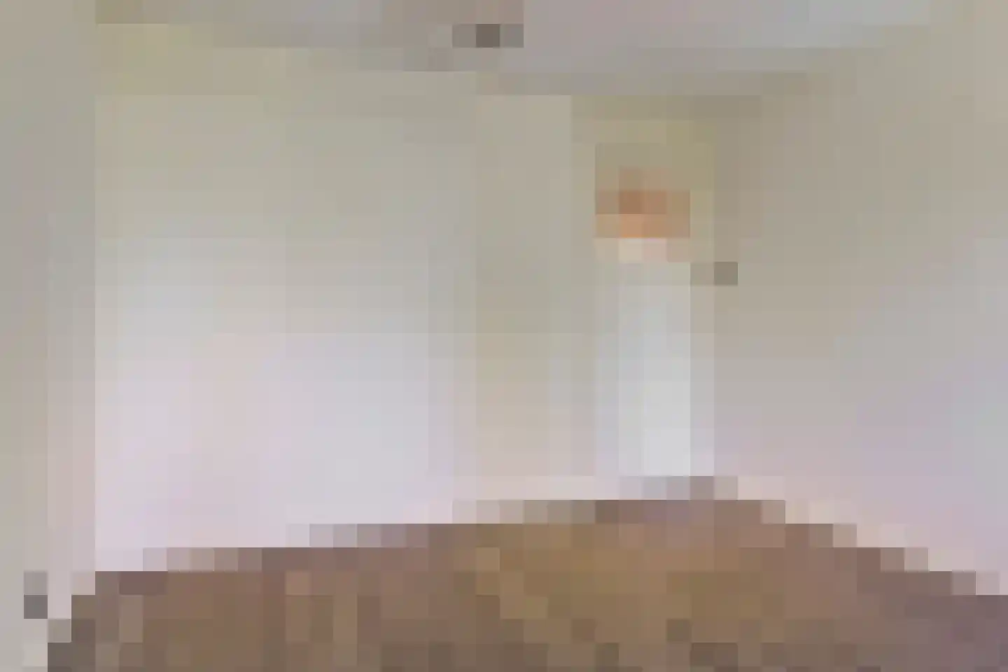 van Alphenstraat 25 Voorburg thumbnail 13