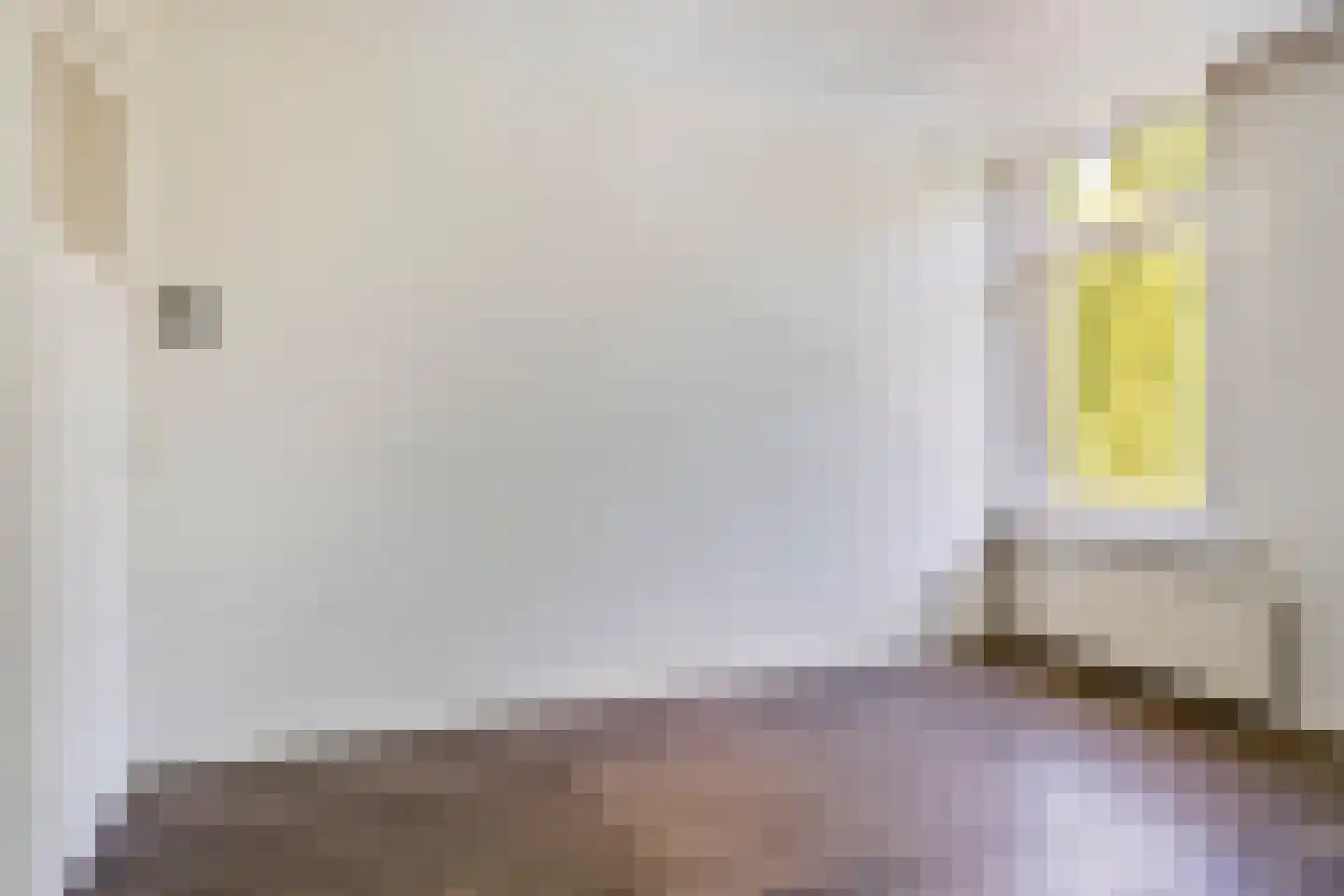 van Alphenstraat 25 Voorburg thumbnail 14