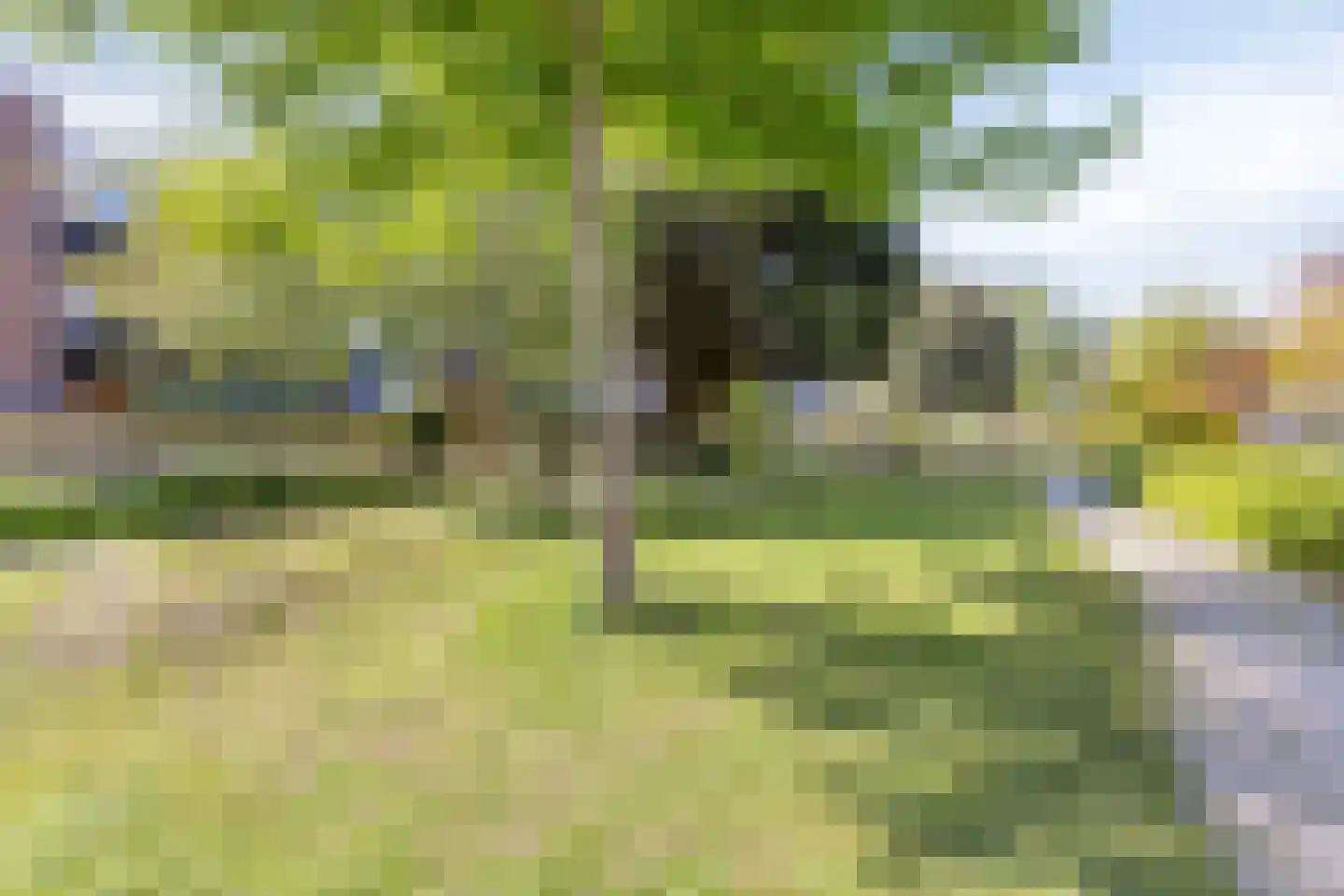 van Alphenstraat 25 Voorburg thumbnail 24