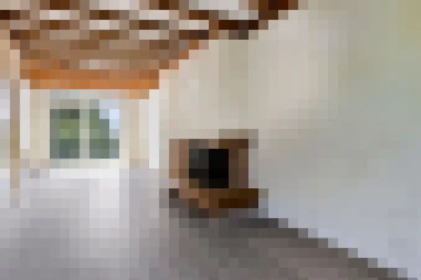 van Alphenstraat 25 Voorburg thumbnail 9