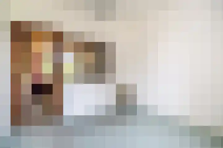 van Alphenstraat 27 Voorburg thumbnail 23