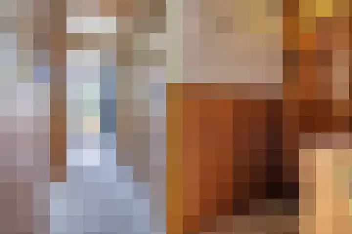 van Alphenstraat 27 Voorburg thumbnail 25