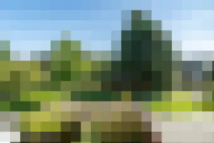 van Alphenstraat 27 Voorburg thumbnail 28