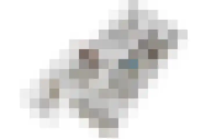 van Alphenstraat 27 Voorburg thumbnail 31
