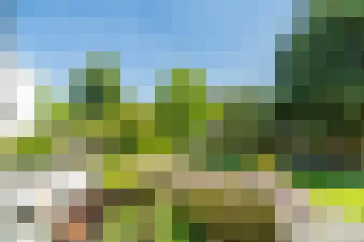 van Alphenstraat 27 Voorburg thumbnail 4