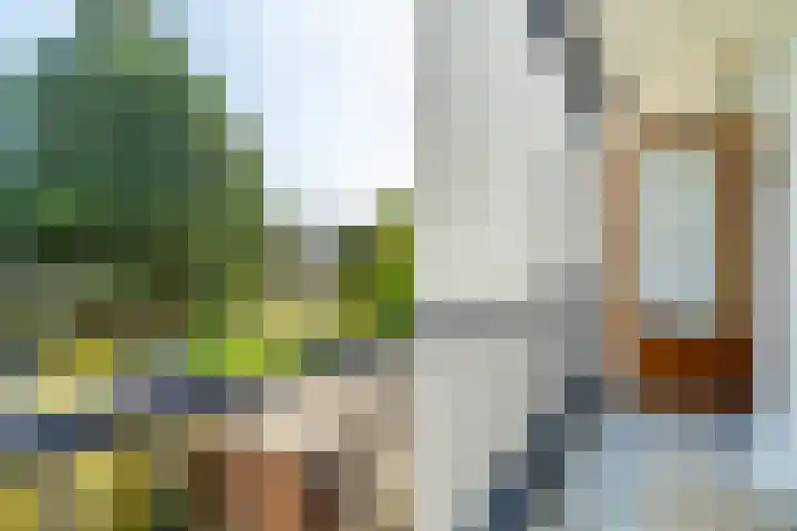 van Alphenstraat 27 Voorburg thumbnail 5