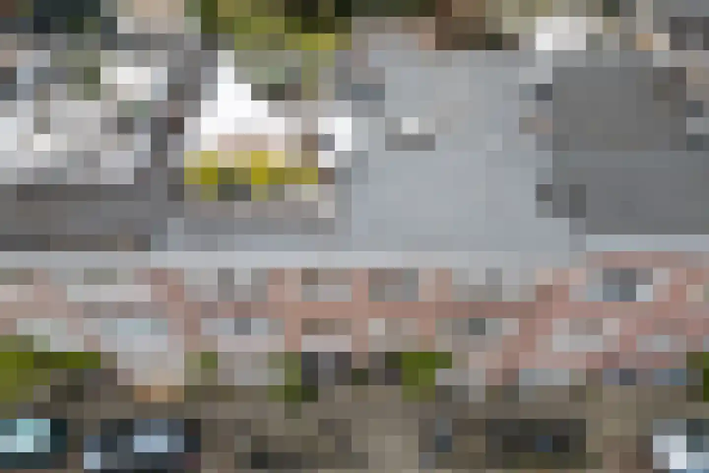 Van Alphenstraat 30 BS Utrecht thumbnail 32