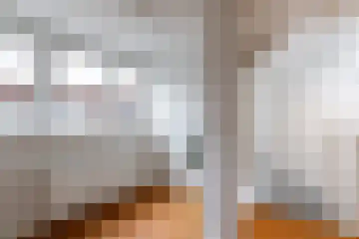 Van Alphenstraat 35 Utrecht thumbnail 22
