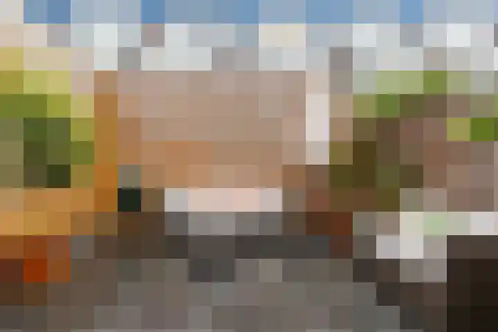 Van Alphenstraat 35 Utrecht thumbnail 28