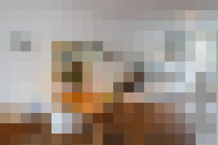 Van Alphenstraat 35 Utrecht thumbnail 4