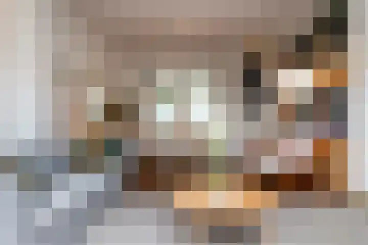 Van Alphenstraat 35 Utrecht thumbnail 5