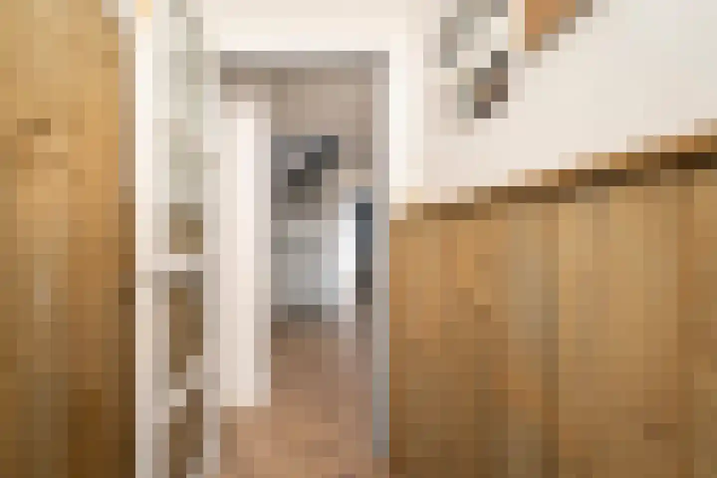 Van Alphenstraat 37 Tilburg thumbnail 10