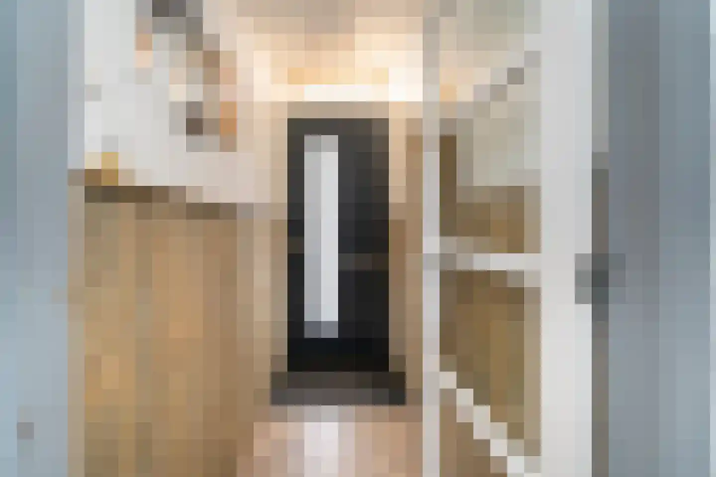 Van Alphenstraat 37 Tilburg thumbnail 11