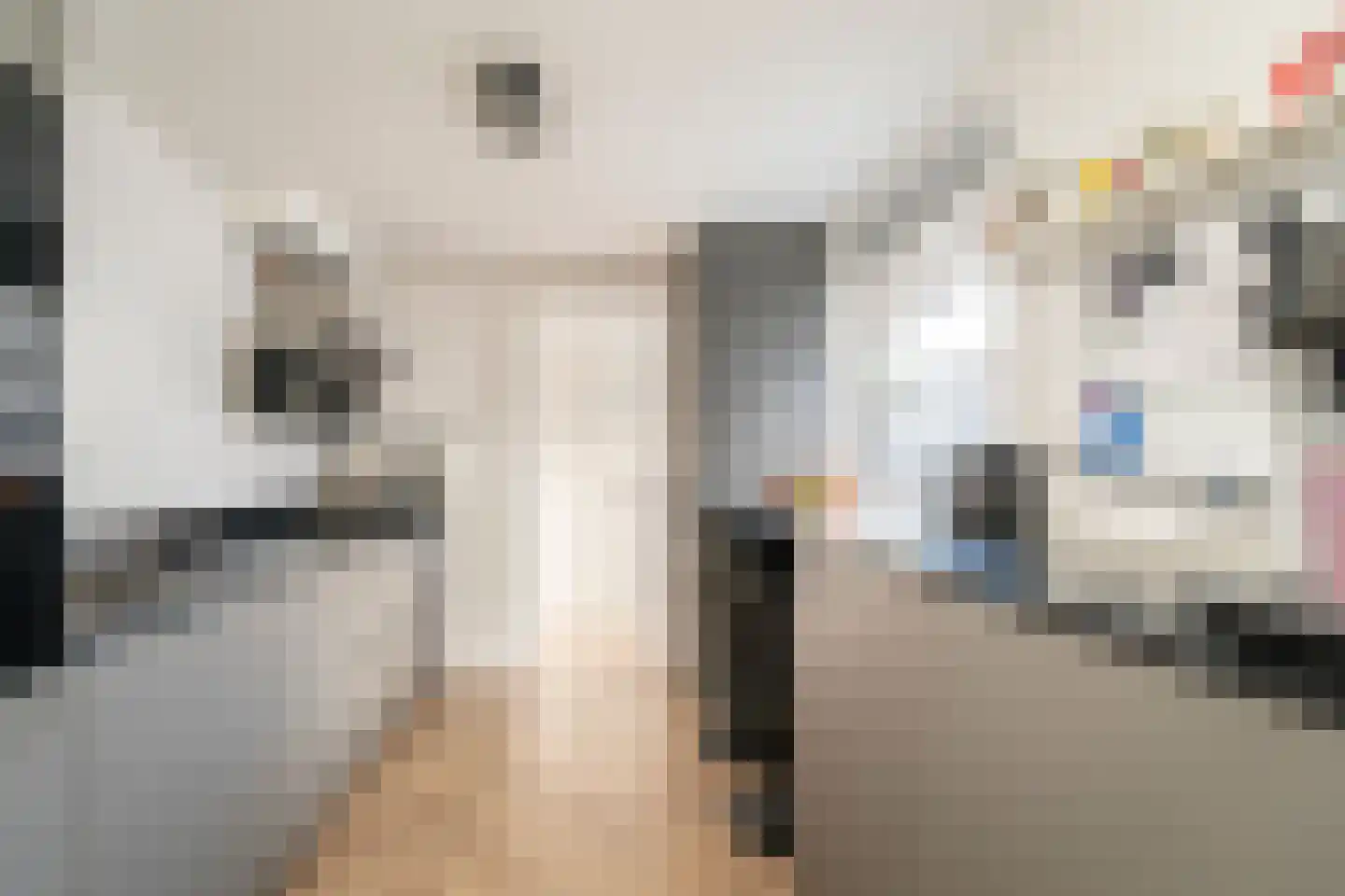 Van Alphenstraat 37 Tilburg thumbnail 17