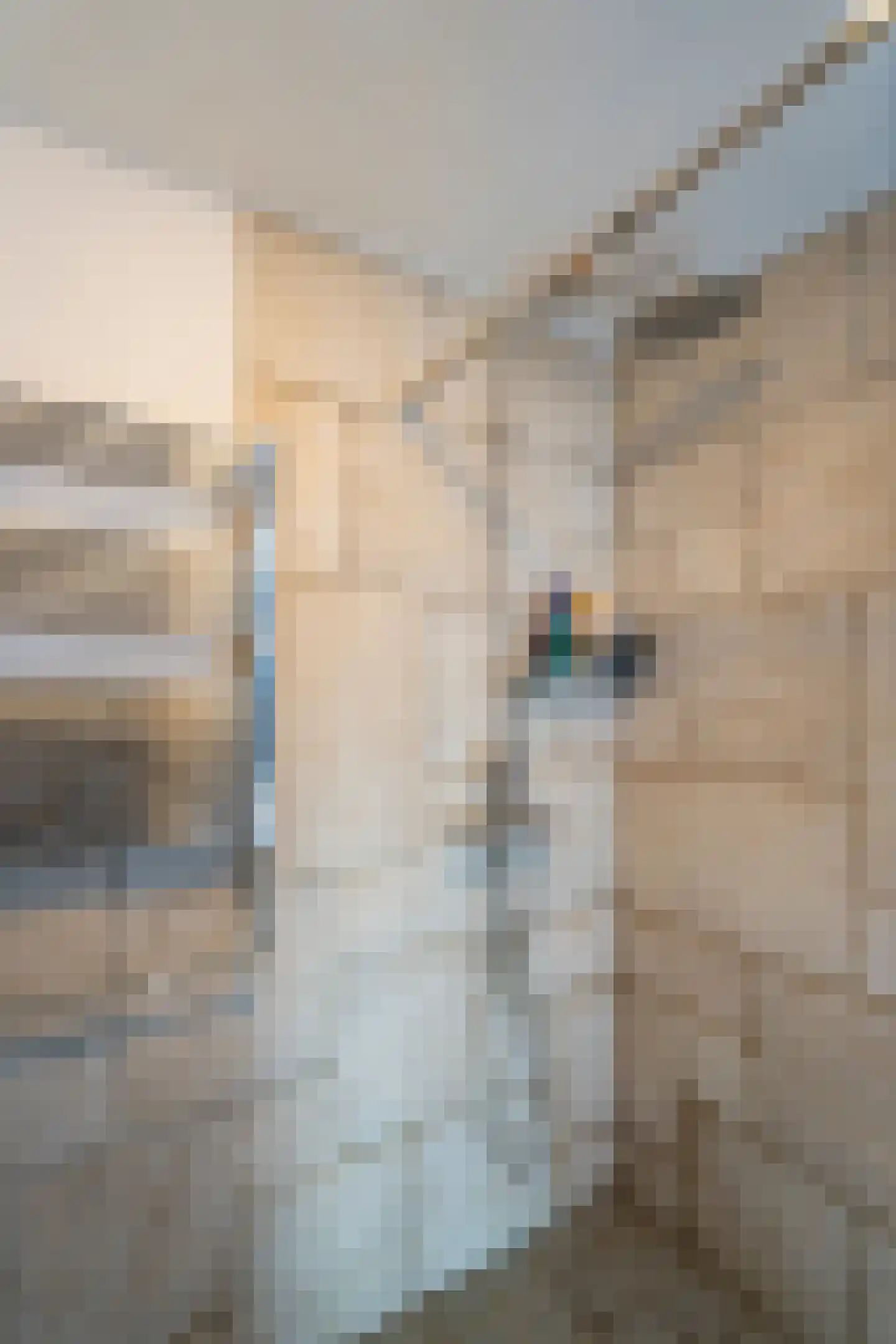 Van Alphenstraat 37 Tilburg thumbnail 21