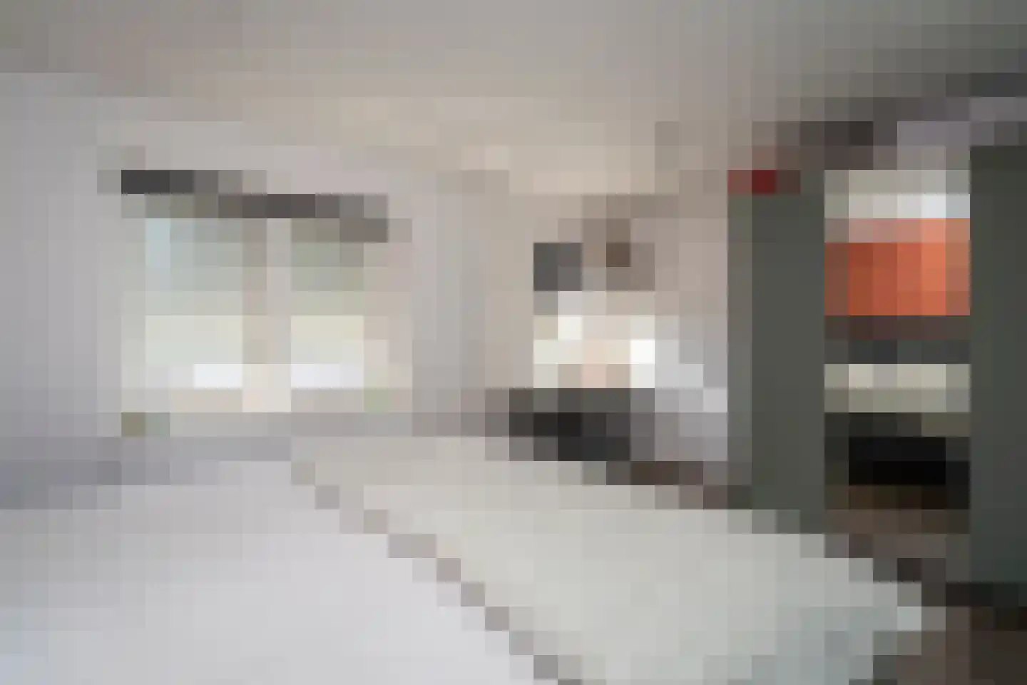Van Alphenstraat 37 Tilburg thumbnail 24