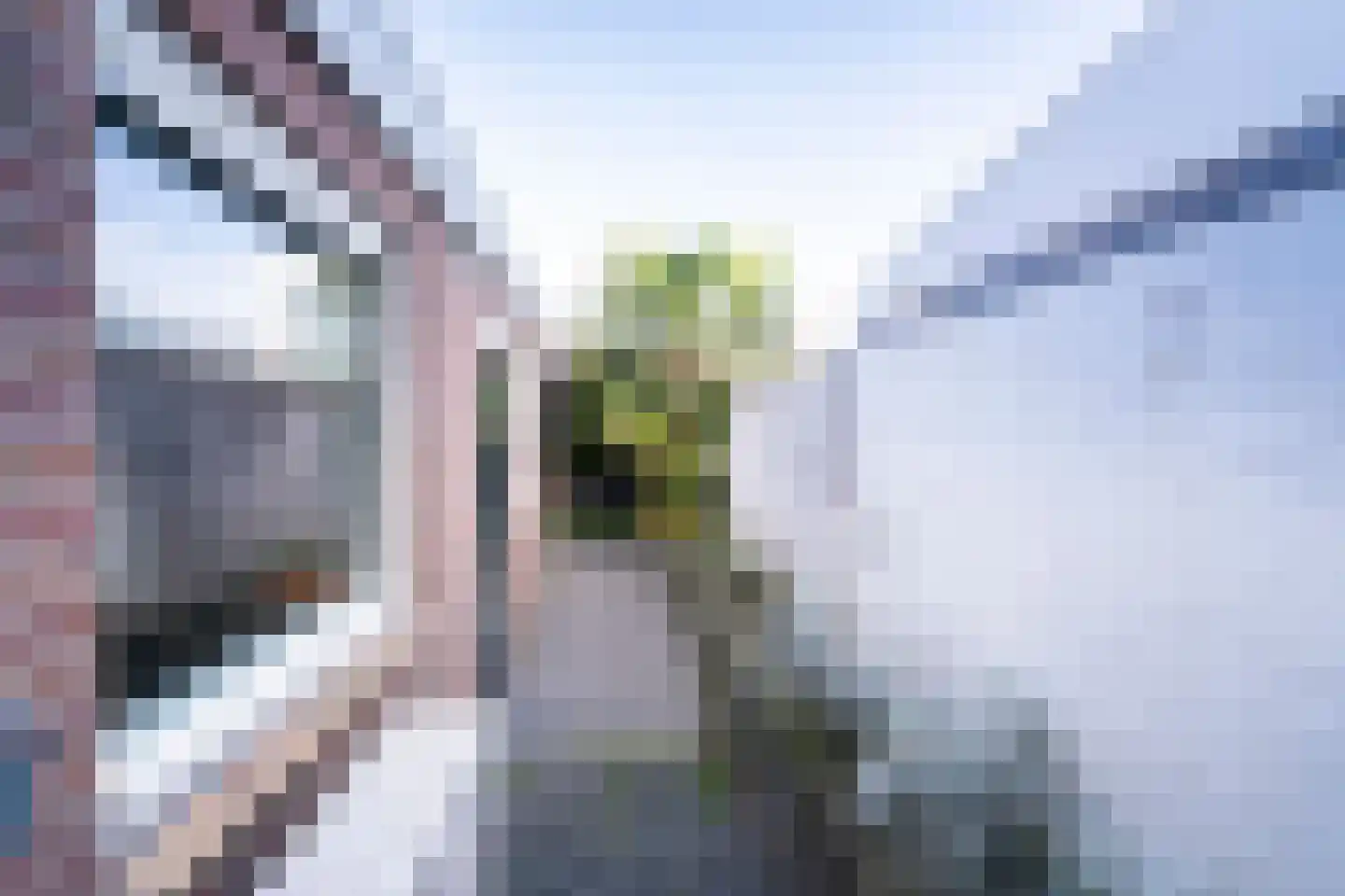 Van Alphenstraat 37 Tilburg thumbnail 29