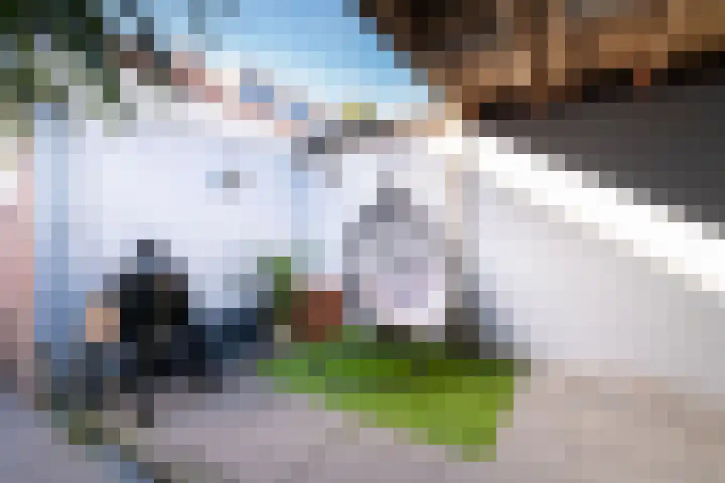 Van Alphenstraat 37 Tilburg thumbnail 30