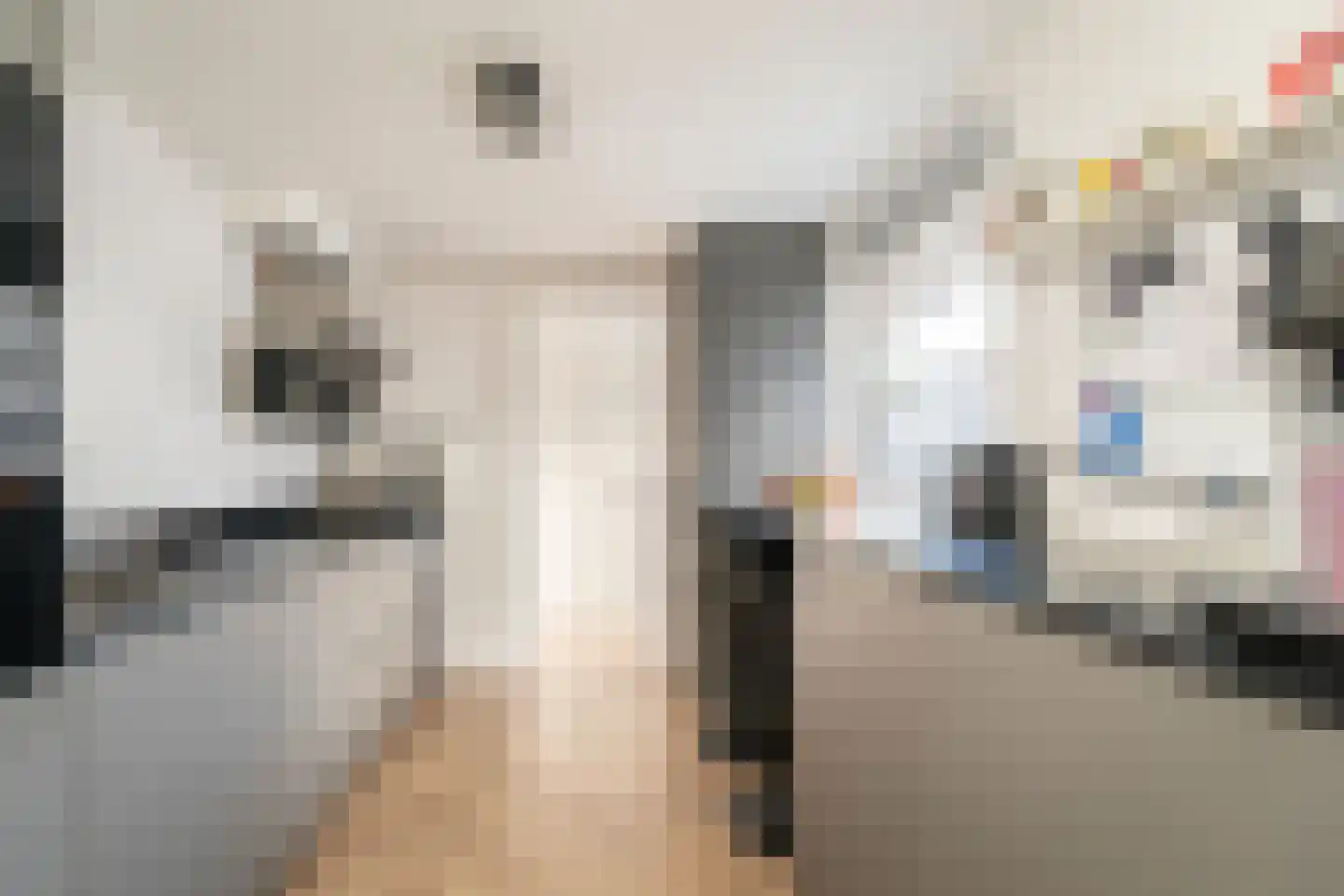 Van Alphenstraat 37 Tilburg thumbnail 4
