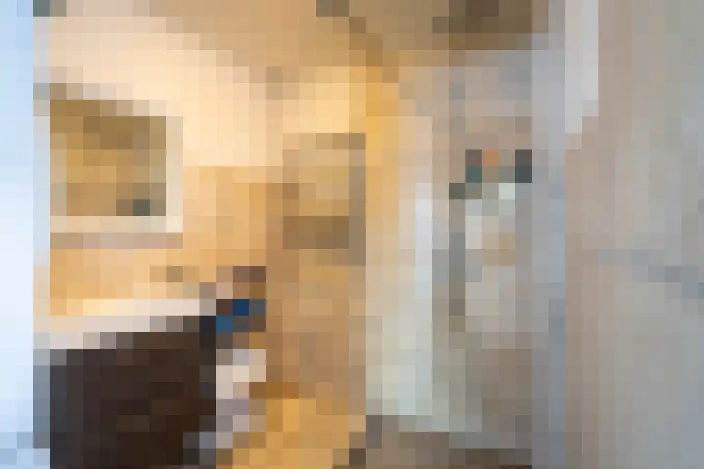 Van Alphenstraat 37 Tilburg thumbnail 5