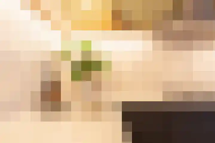 Van Alphenstraat 4 2 Amsterdam thumbnail 12