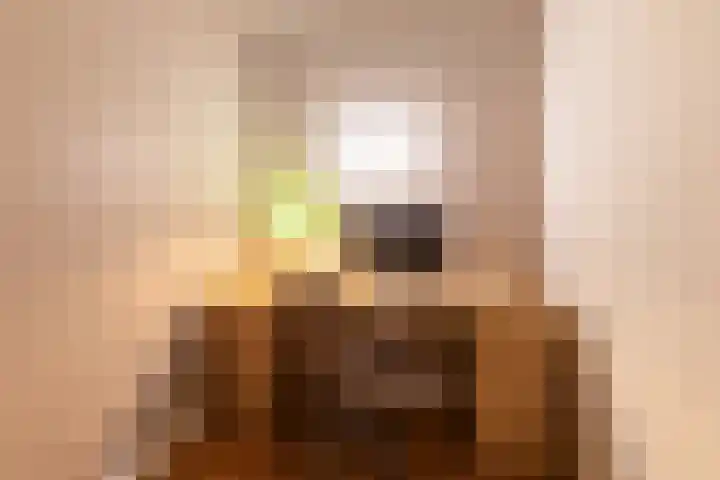 Van Alphenstraat 4 2 Amsterdam thumbnail 22