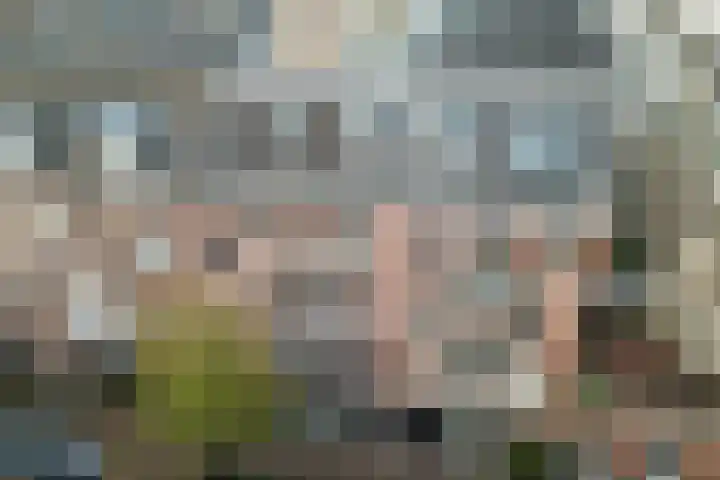 Van Alphenstraat 4 2 Amsterdam thumbnail 5