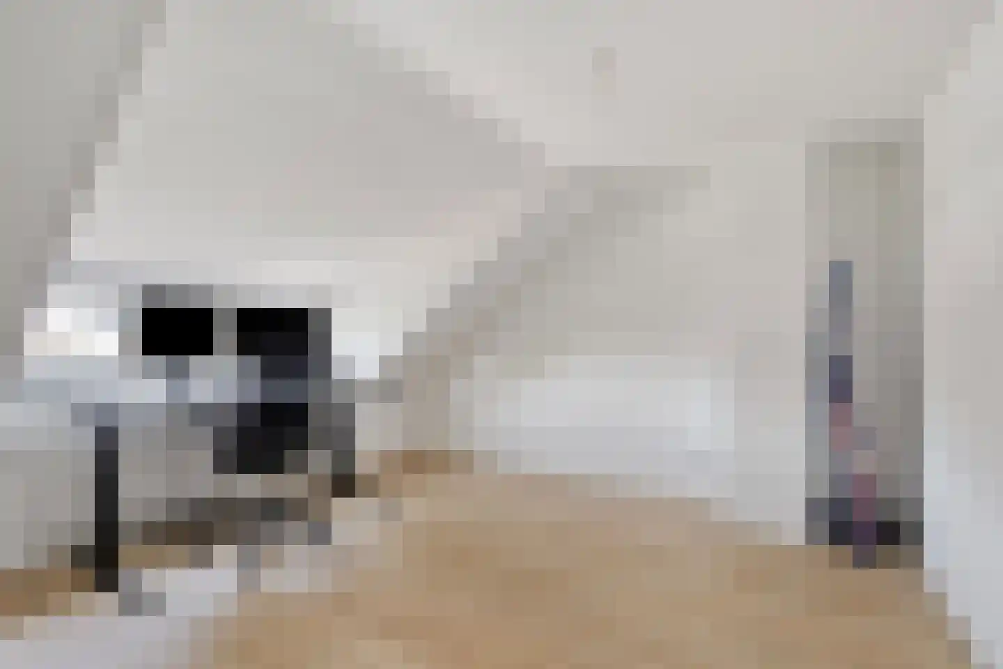 Van Alphenstraat 4 Heerlen thumbnail 21
