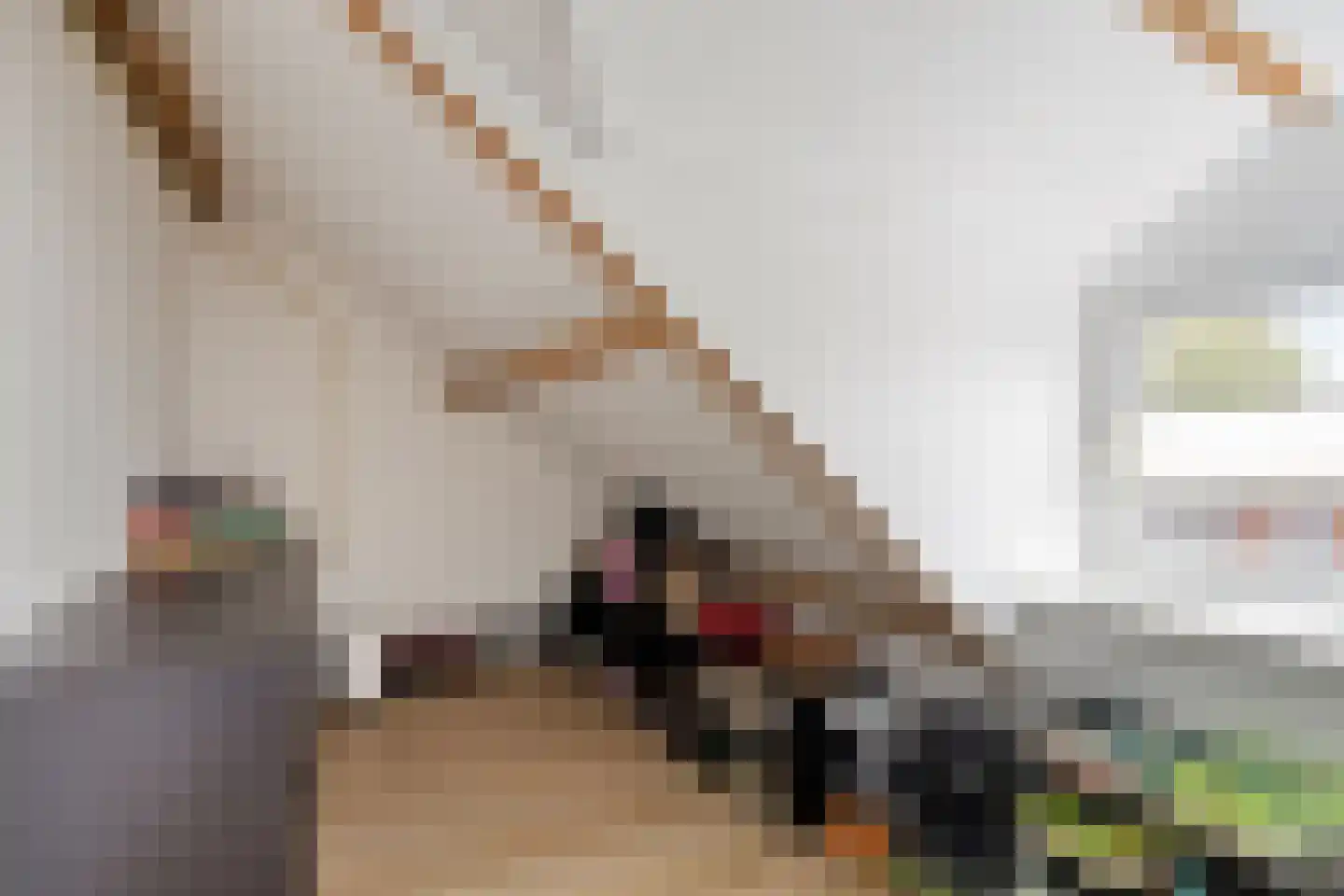 Van Alphenstraat 4 Heerlen thumbnail 22