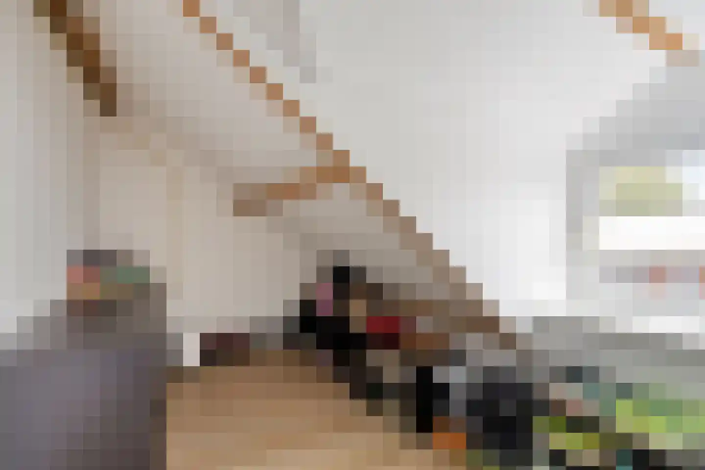 Van Alphenstraat 4 Heerlen thumbnail 22