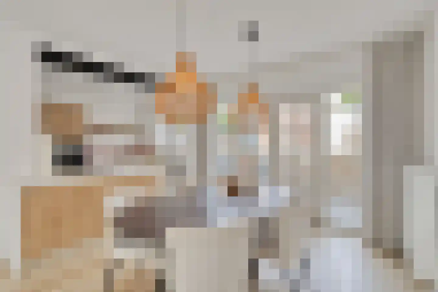 Van Alphenstraat 4 Heerlen thumbnail 5