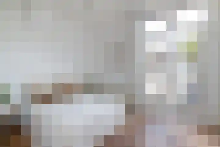 Van Alphenstraat 40 Utrecht thumbnail 17
