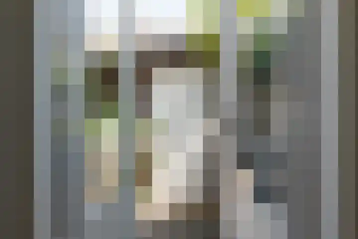 Van Alphenstraat 40 Utrecht thumbnail 18