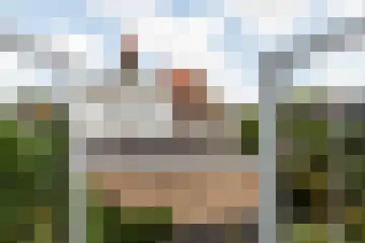 Van Alphenstraat 40 Utrecht thumbnail 25