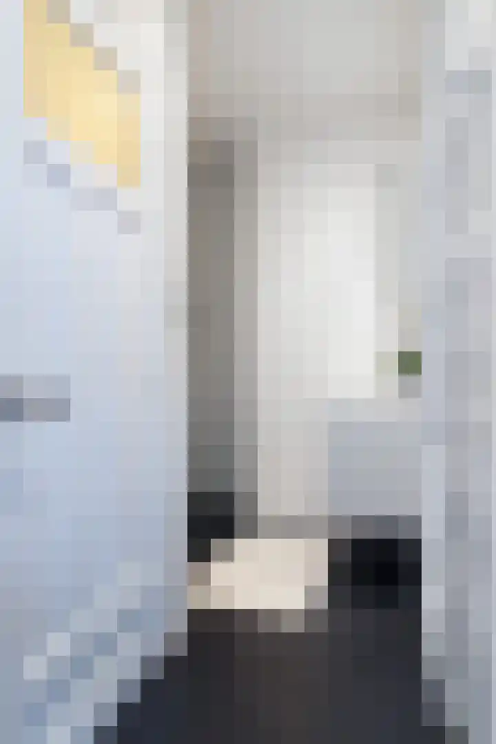 Van Alphenstraat 40 Utrecht thumbnail 27