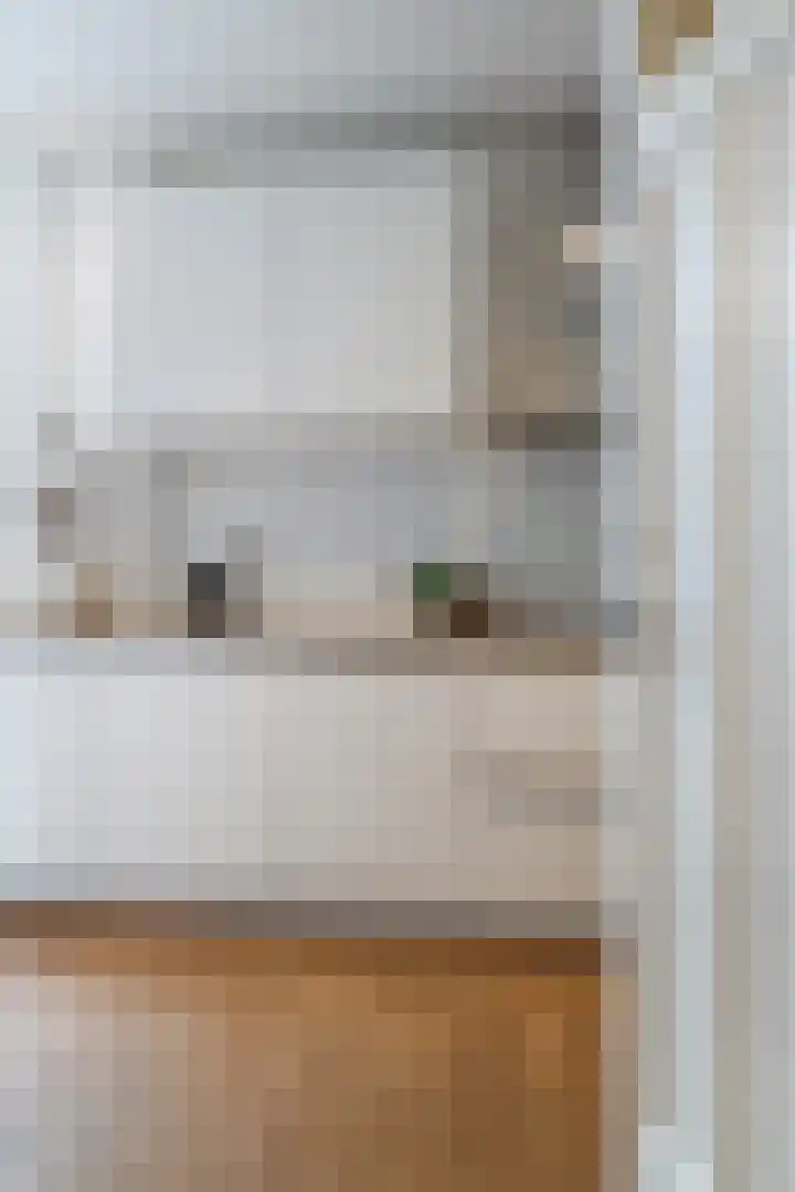 Van Alphenstraat 40 Utrecht thumbnail 31