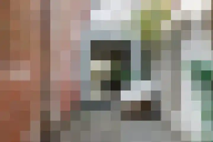 Van Alphenstraat 40 Utrecht thumbnail 34