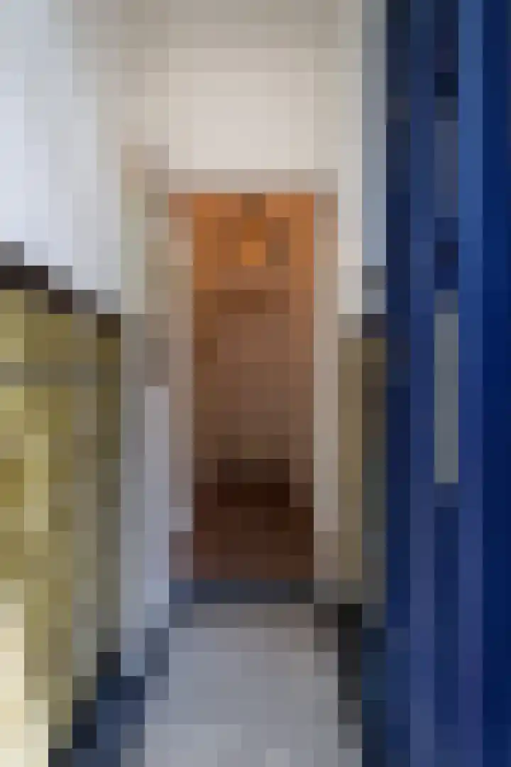 Van Alphenstraat 40 Utrecht thumbnail 35