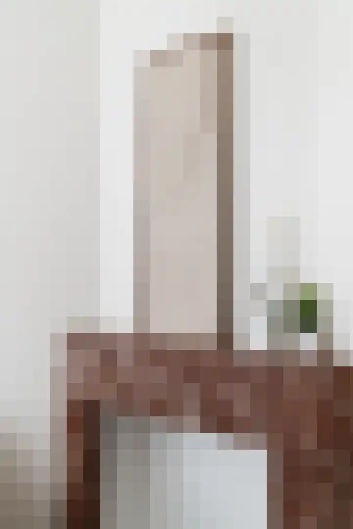 Van Alphenstraat 40 Utrecht thumbnail 4