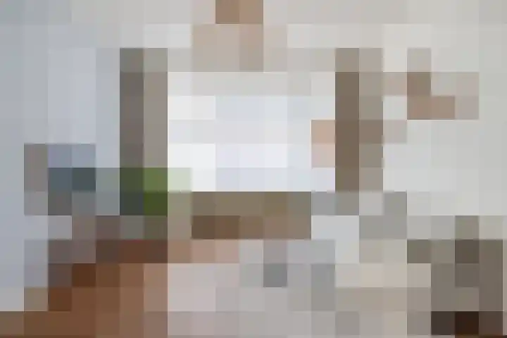 Van Alphenstraat 40 Utrecht thumbnail 5