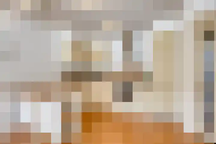 van Alphenstraat 45 Voorburg thumbnail 12