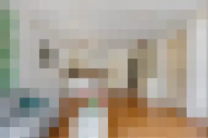 van Alphenstraat 45 Voorburg thumbnail 13