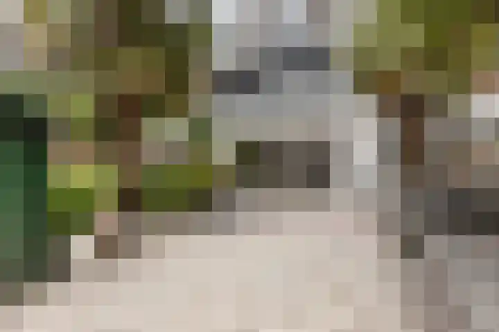van Alphenstraat 45 Voorburg thumbnail 17
