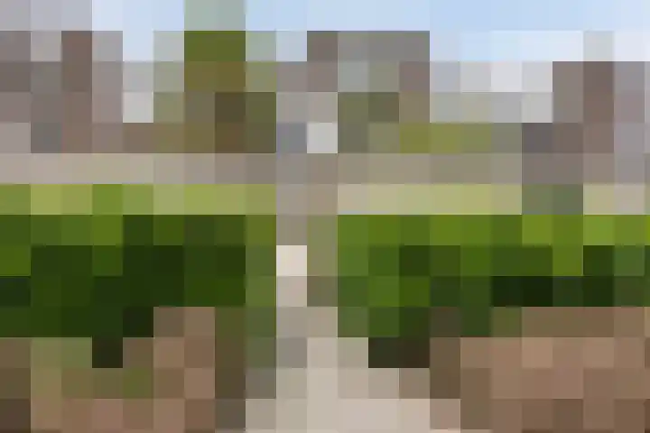 van Alphenstraat 45 Voorburg thumbnail 20