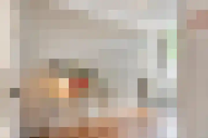 van Alphenstraat 45 Voorburg thumbnail 21