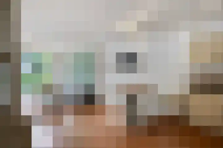 van Alphenstraat 45 Voorburg thumbnail 23