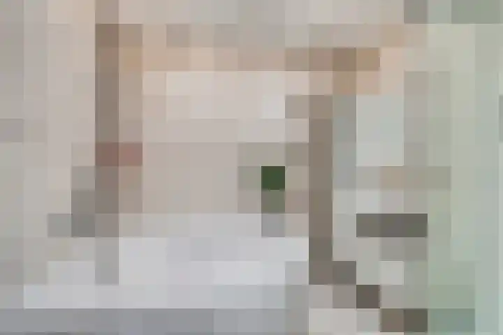 van Alphenstraat 45 Voorburg thumbnail 25