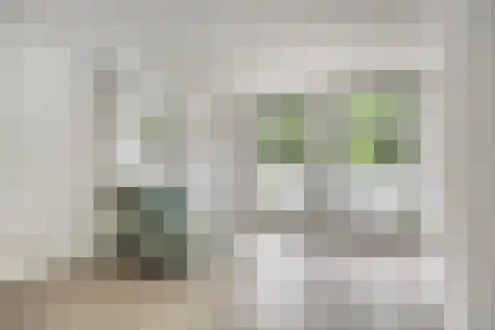 van Alphenstraat 45 Voorburg thumbnail 29