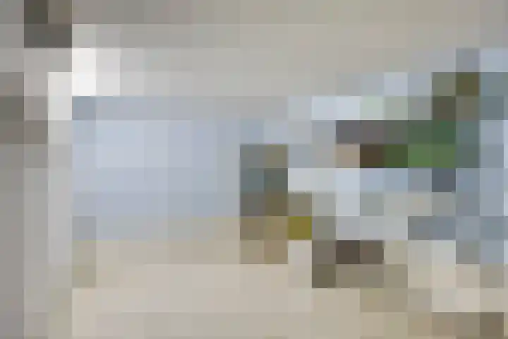van Alphenstraat 45 Voorburg thumbnail 31